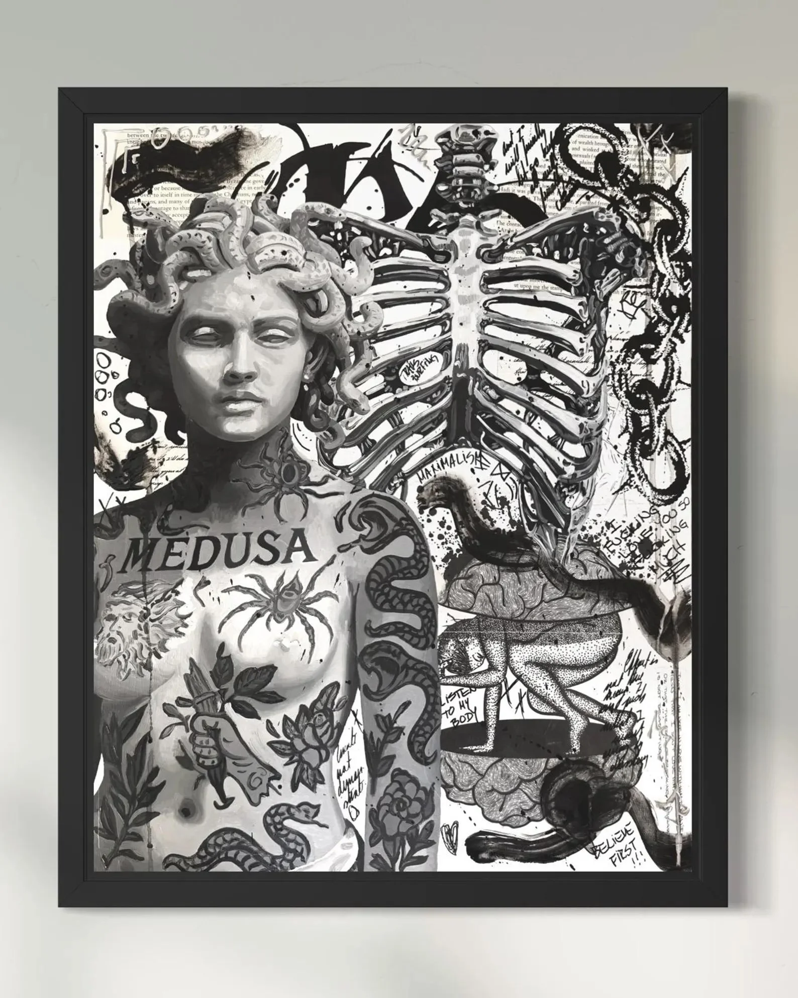 medusas-anatomy-framed-web.jpg