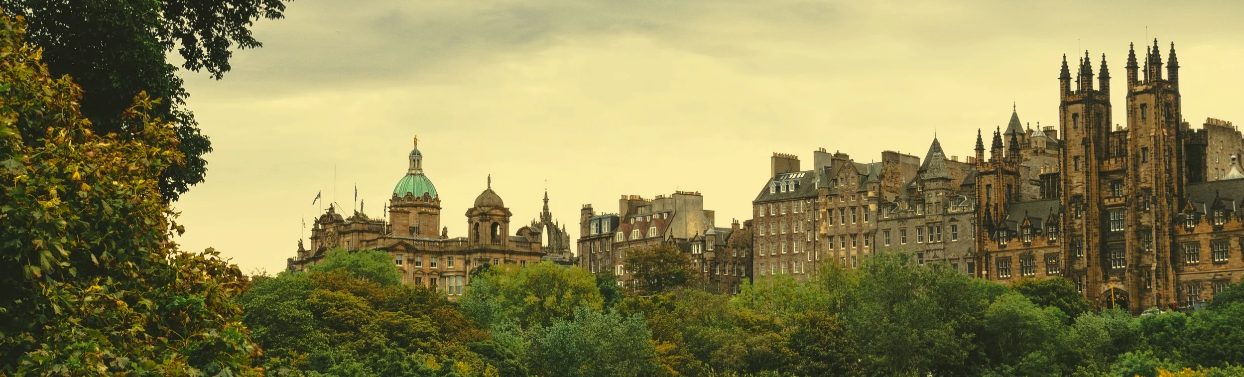 BAAS runs workshop at World Social Marketing Conference