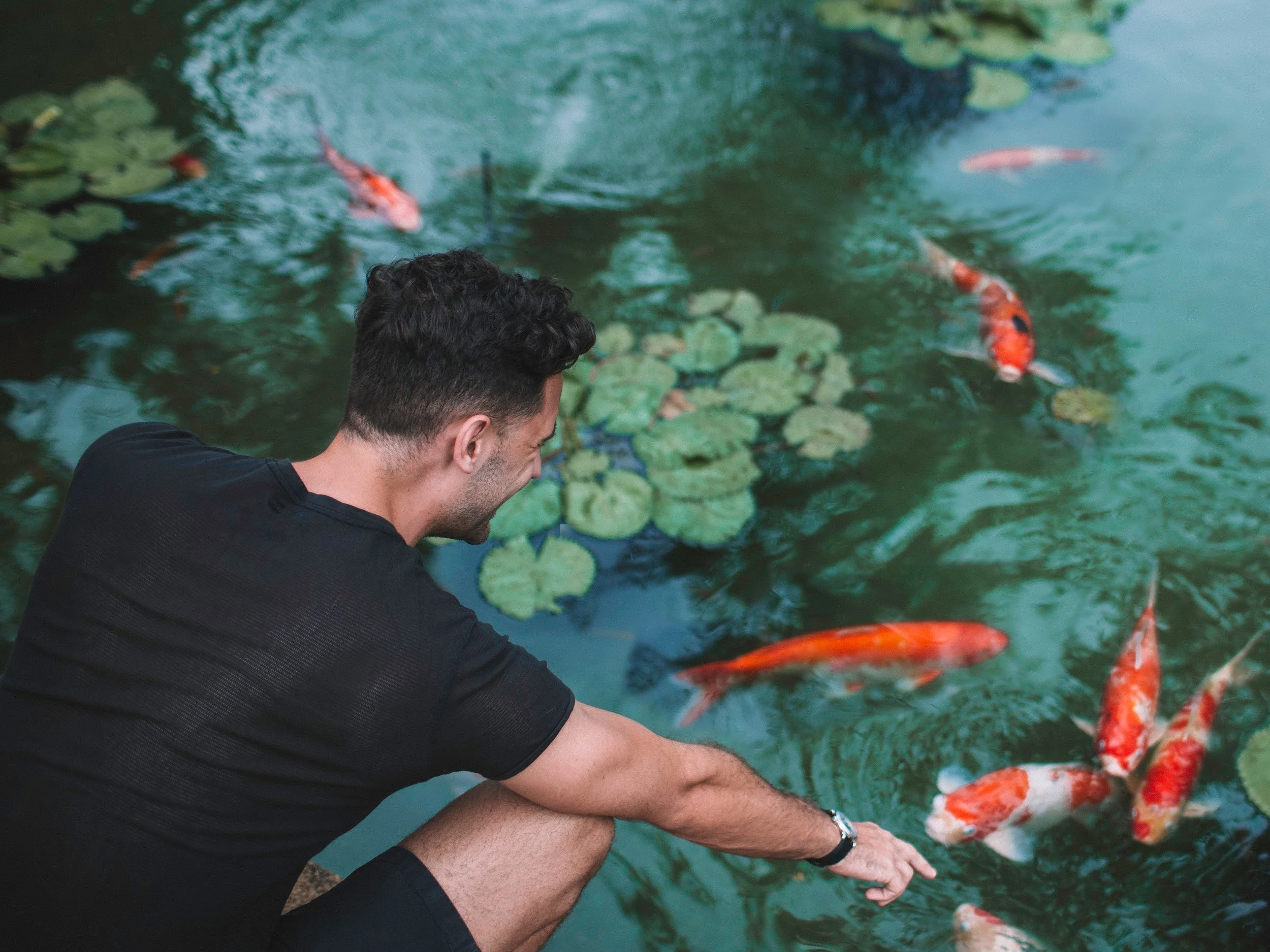 scottkoi.jpg