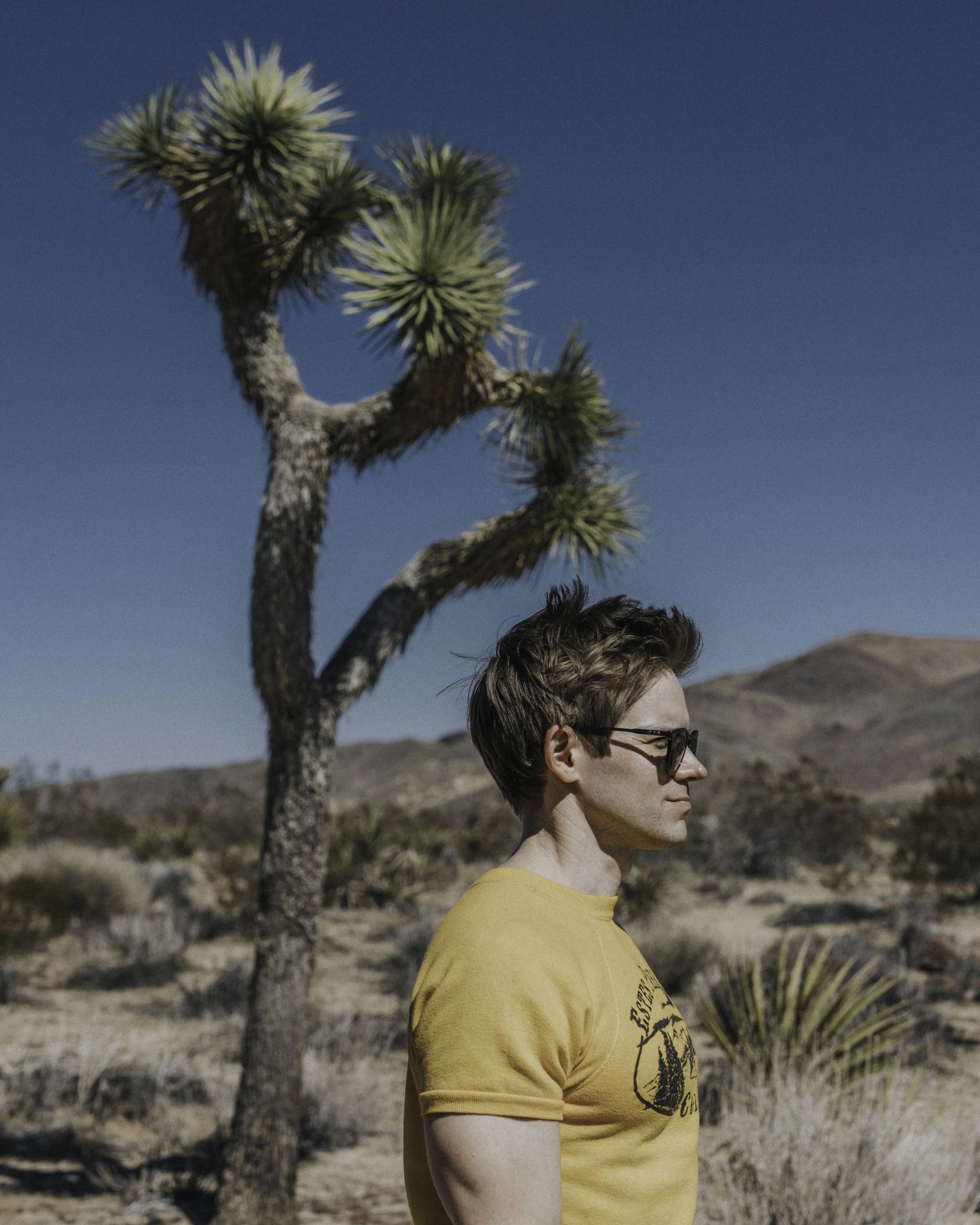 joshua Tree National Park day trip hikes photography Things to do Instagram spots photographers guide Day trip Los Angeles Jumbo Rocks Skull Rock Arch Cholla Cactus Garden Key's View