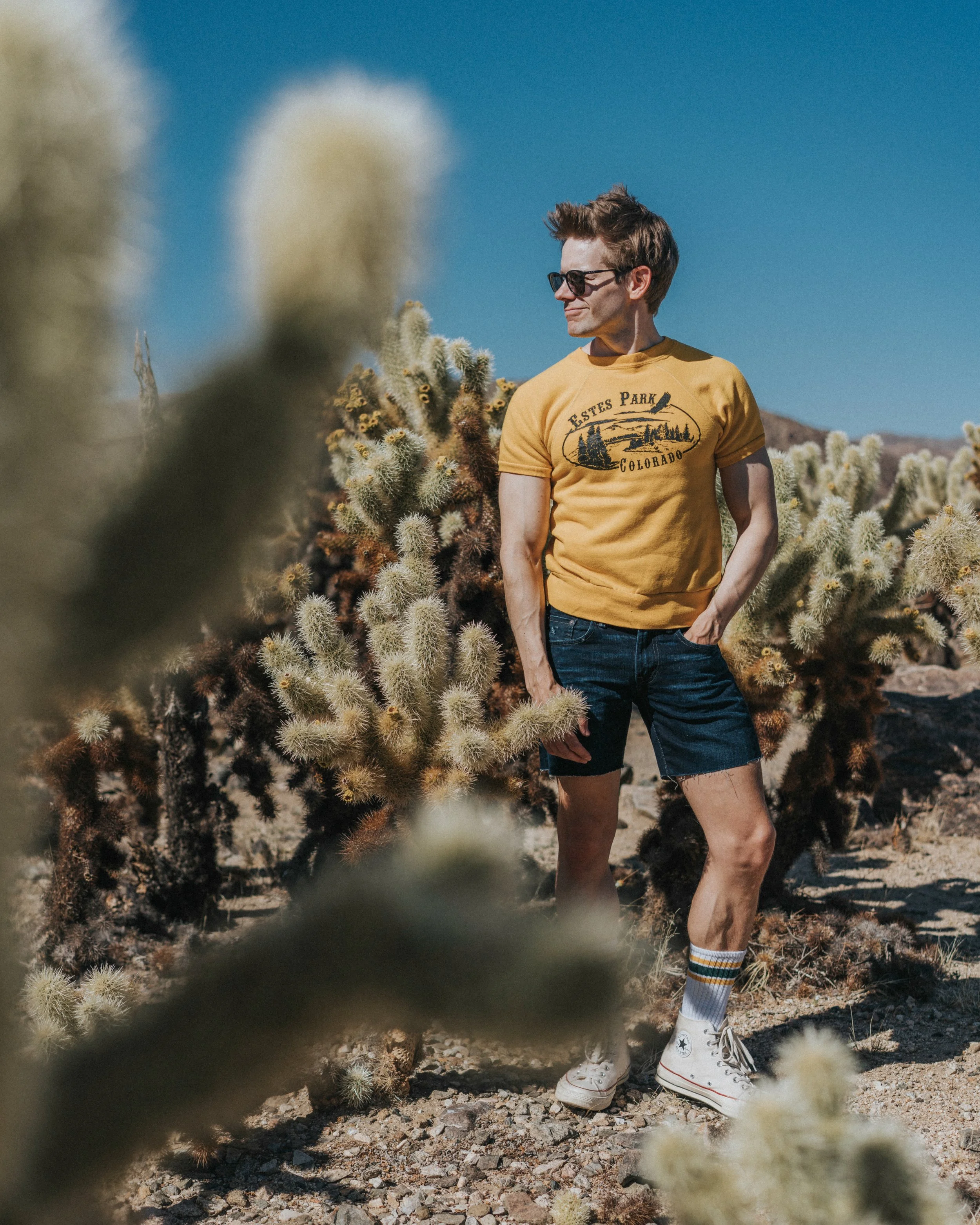 joshua Tree National Park day trip hikes photography Things to do Instagram spots photographers guide Day trip Los Angeles Jumbo Rocks Skull Rock Arch Cholla Cactus Garden Key's View