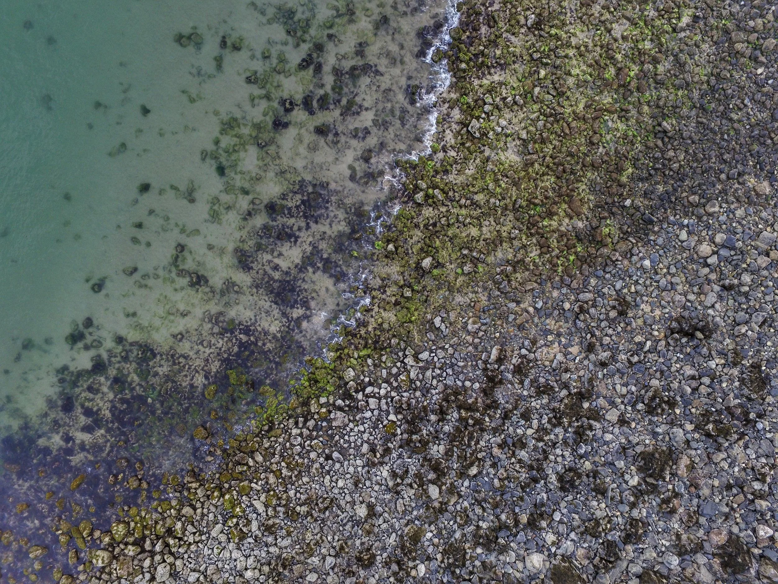 My Runic Vacation, or How I Made Peace with the Ocean