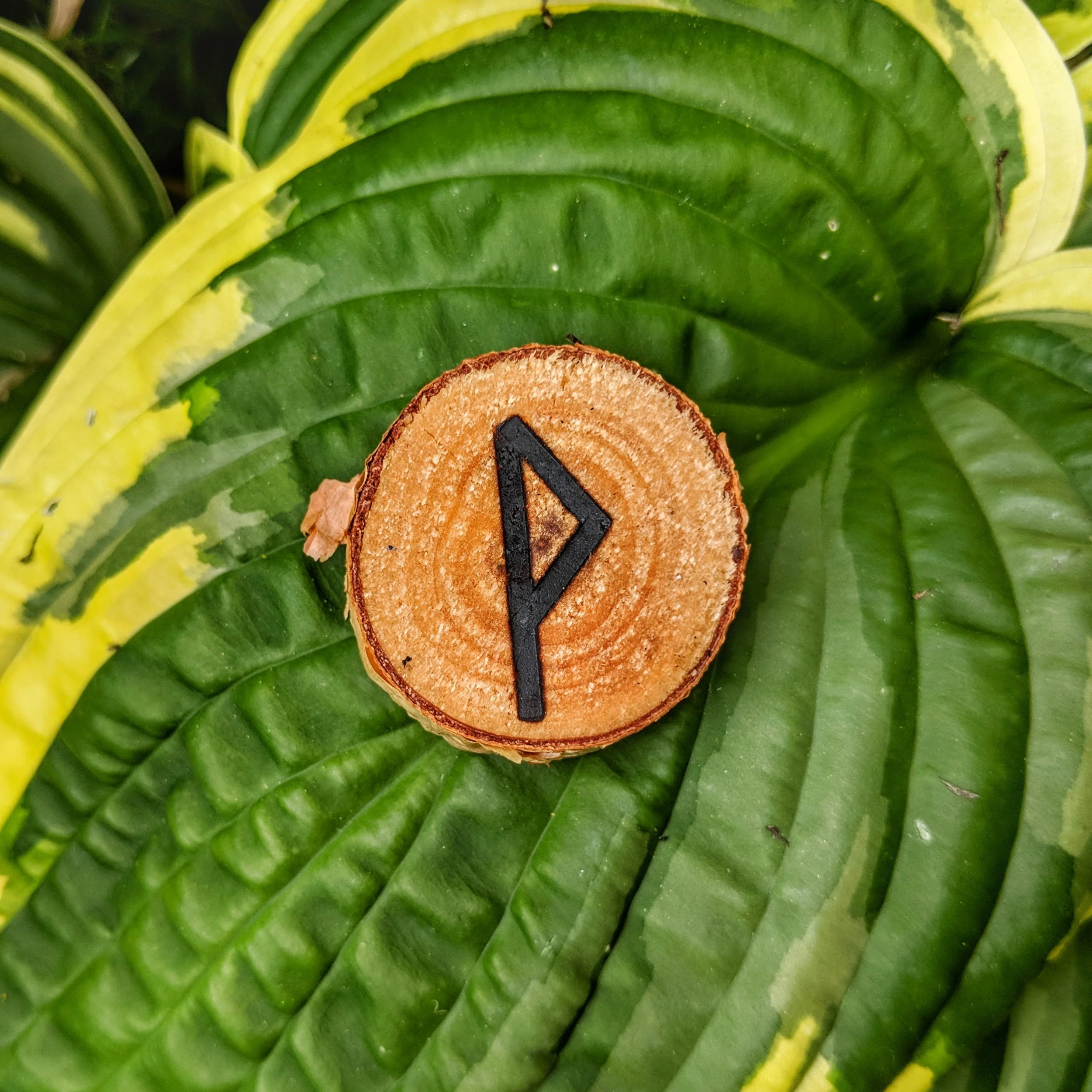The Runes — Josh Simonds Psychic Medium & Author