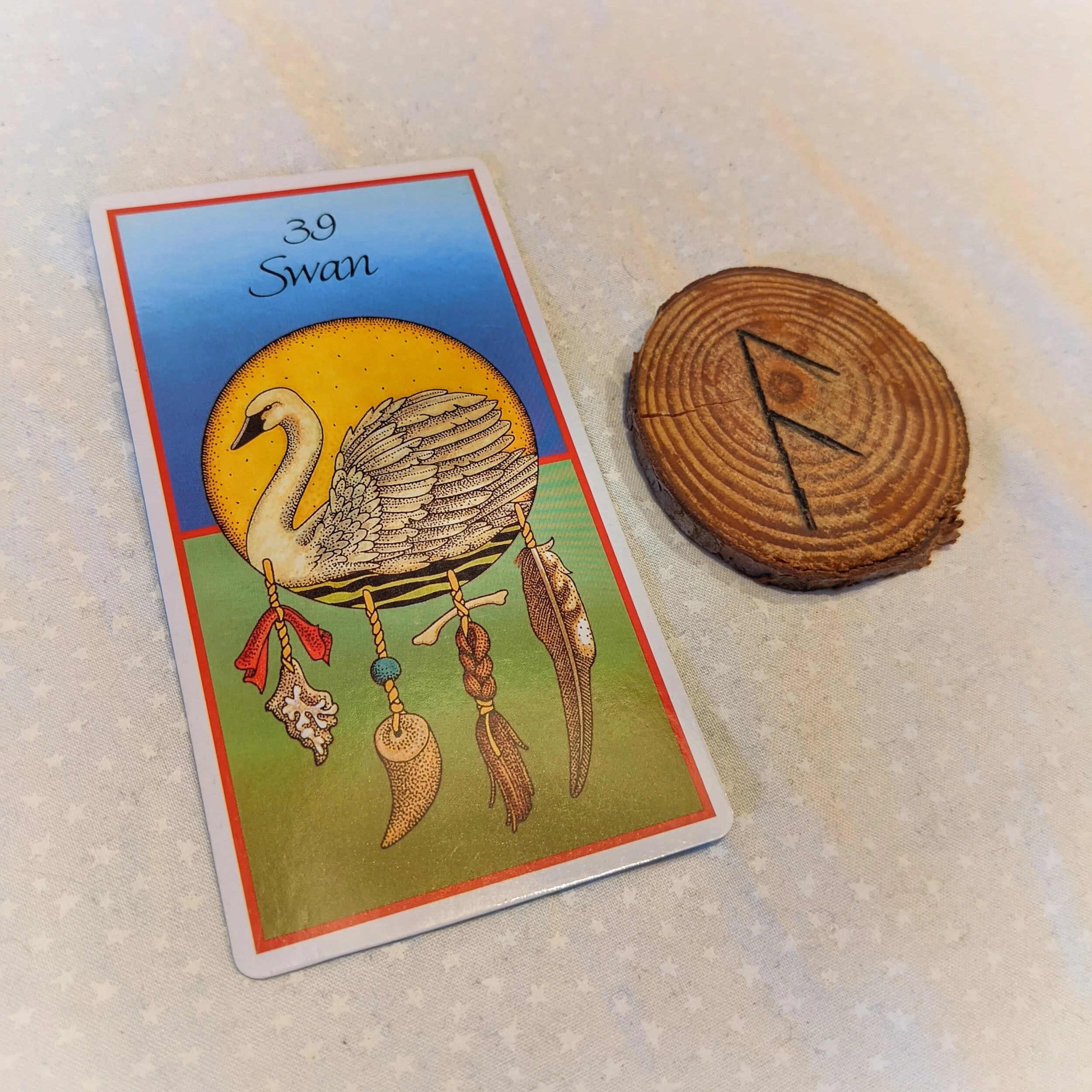 The Sword &amp; The Swan: Angels &amp; Gods Among Us