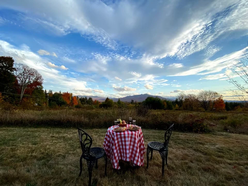 backyard3.jpg