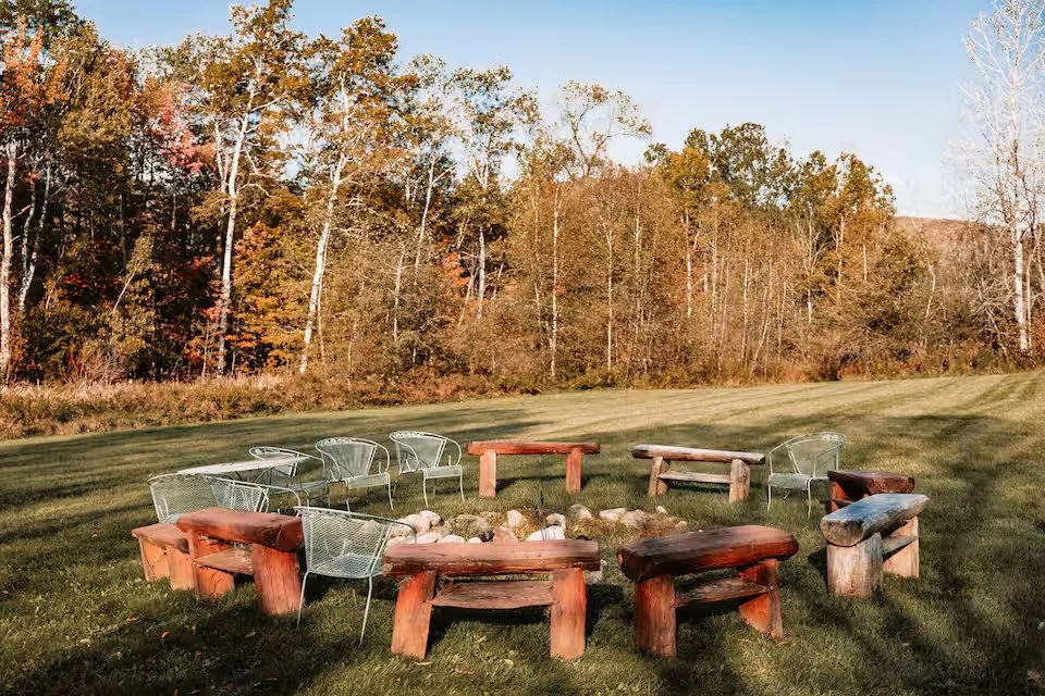 backyard6.jpg