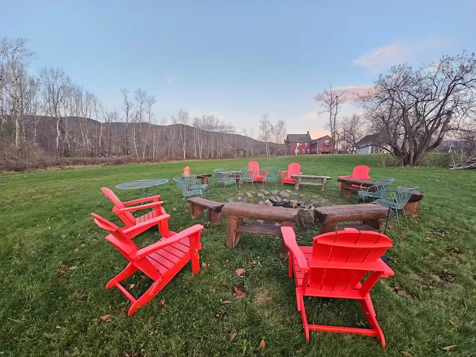 backyard7.jpg