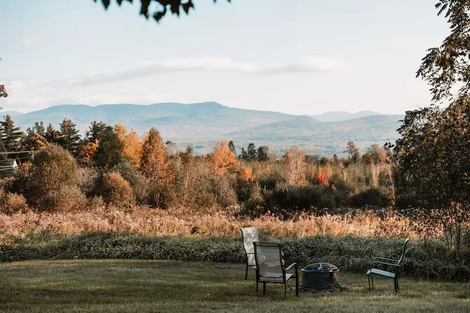 backyard8.jpg