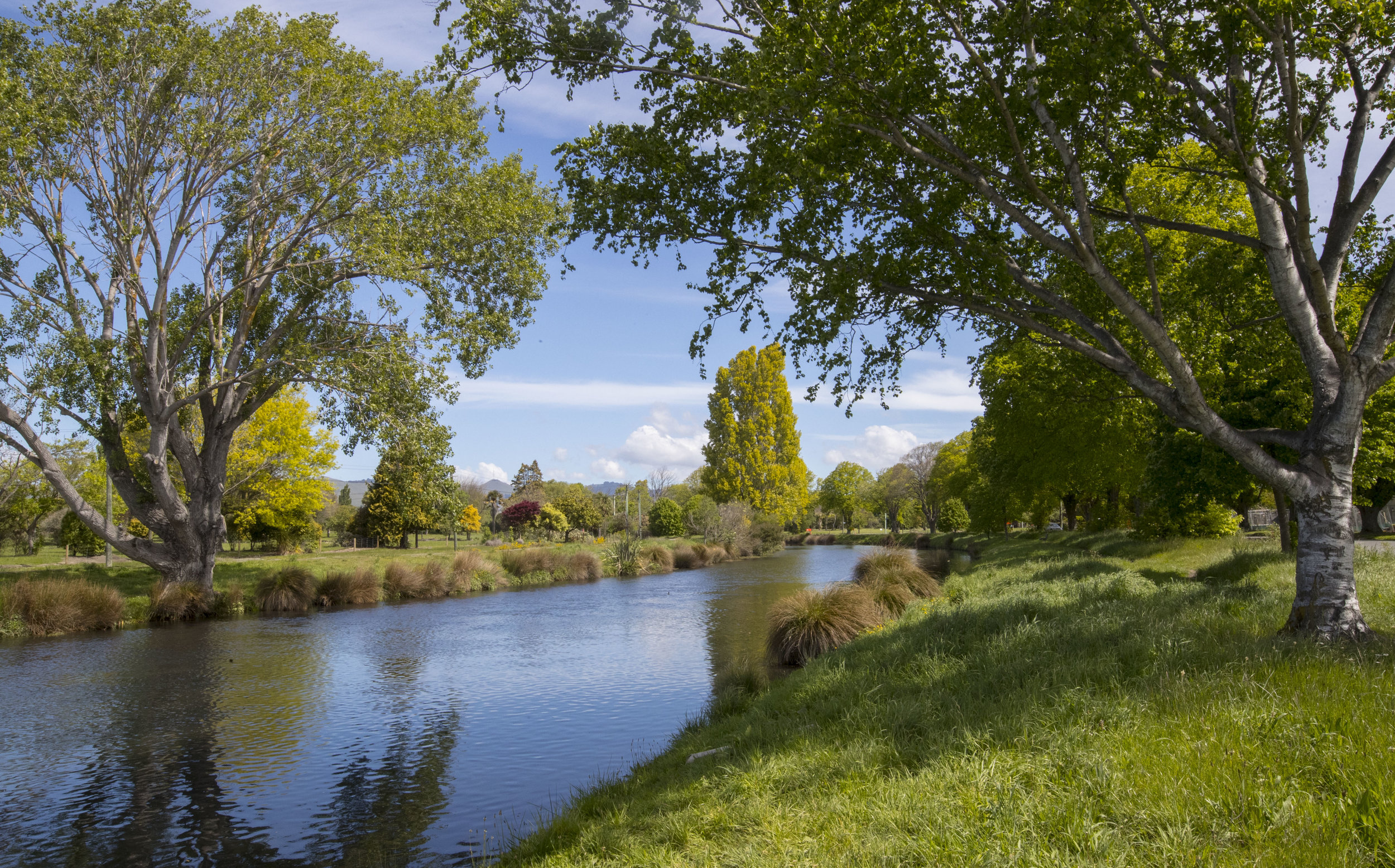 red zone b-33 (1).jpg