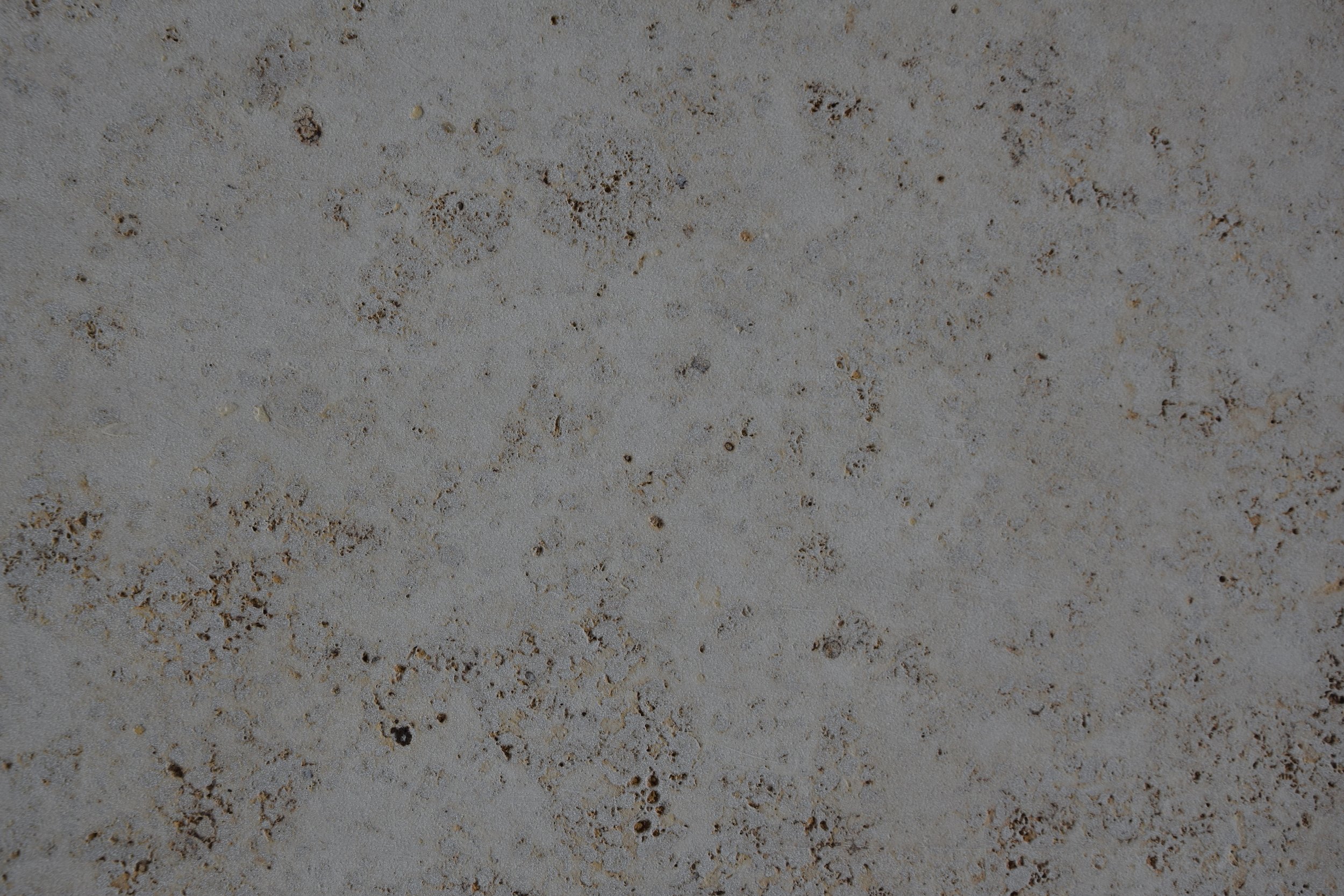 rita-providencia-1124225-unsplash.jpg