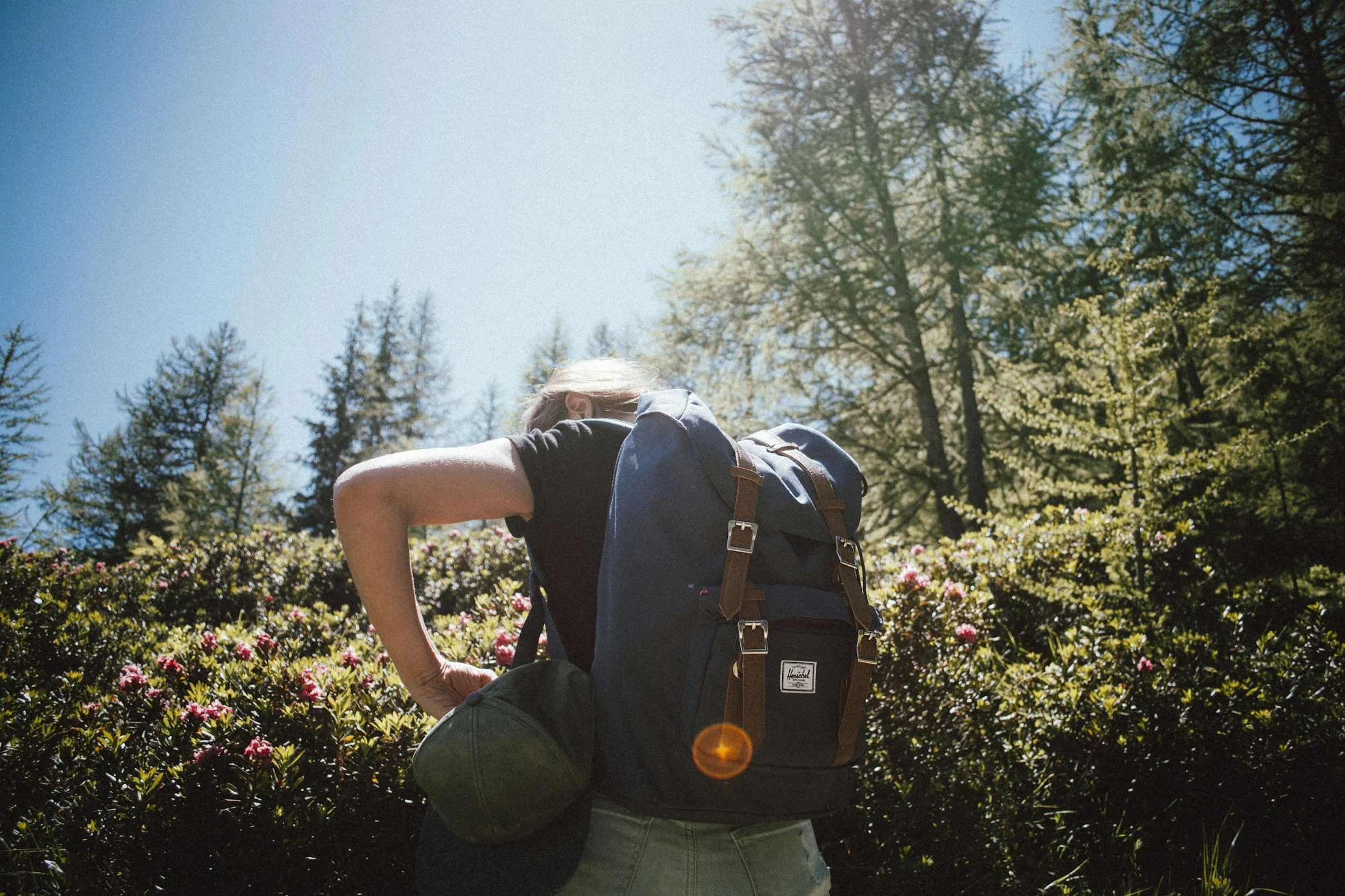 unsplash-image--gYPEdVcC0Y.jpg