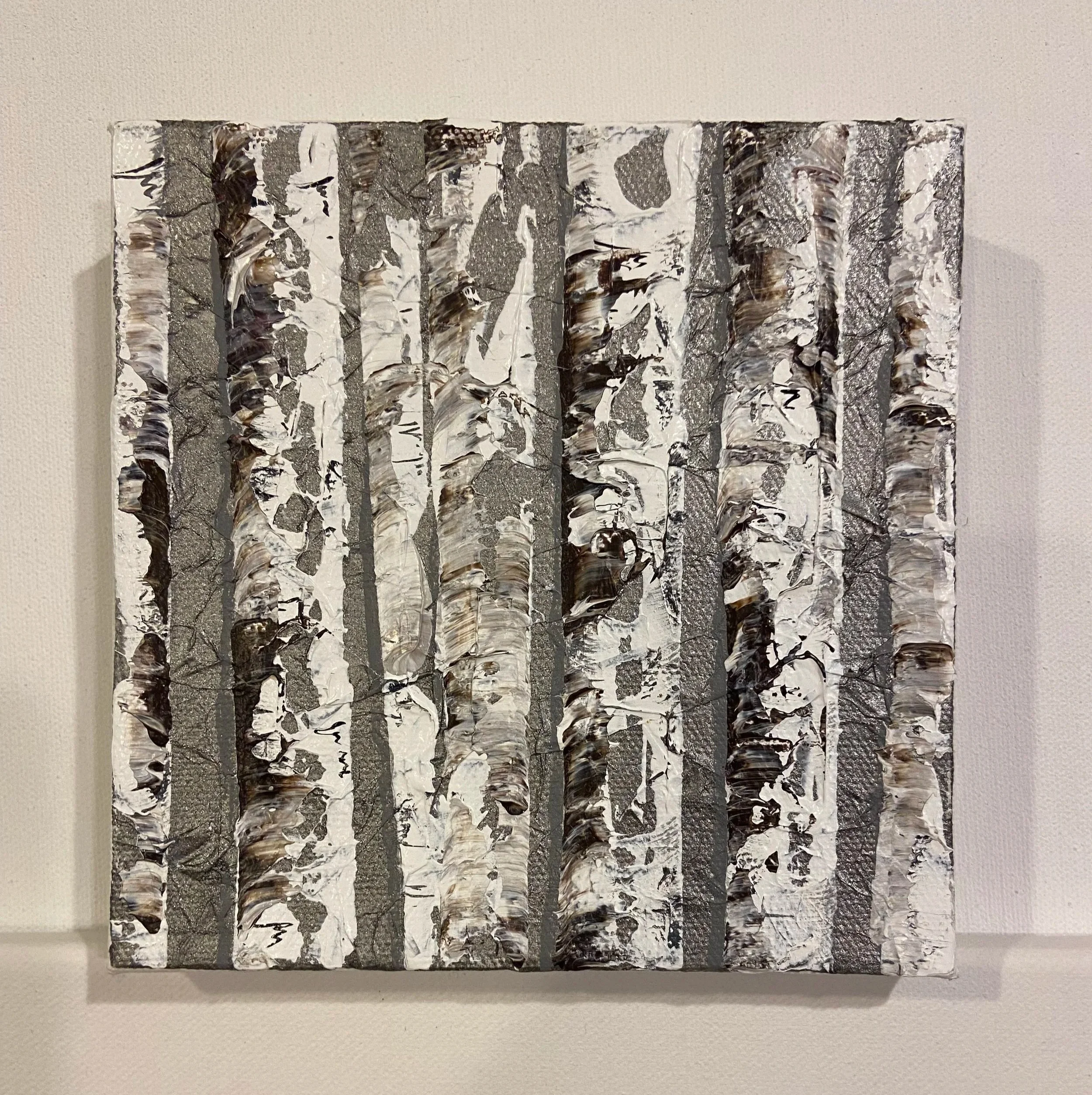 5469+Silver+Birch+6x6+front.jpg