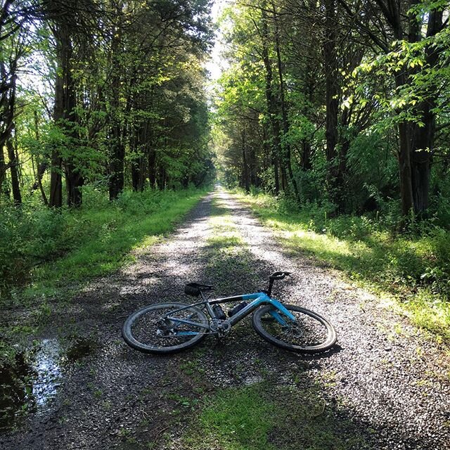 The road to heaven&rsquo;s not paved with gold.  It&rsquo;s actually #gravel.
.
.
#groad #bike