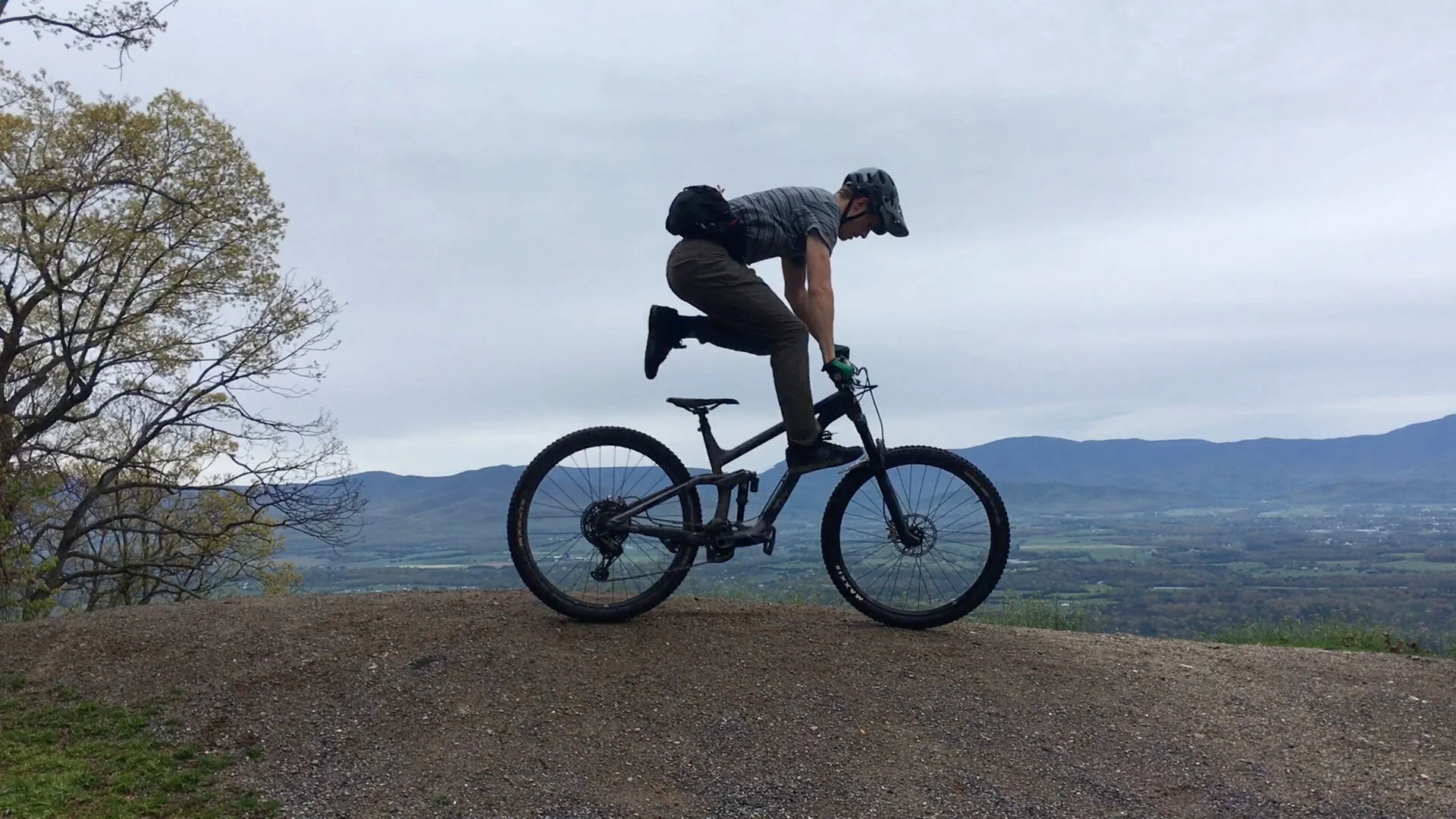 2020 Part 1: The Quaranteam