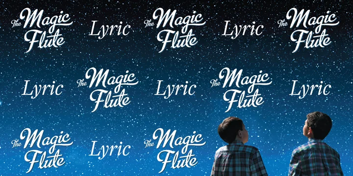 LYRIC OPERA HOUSE / MIXED EVENTS / 2006-2018 //