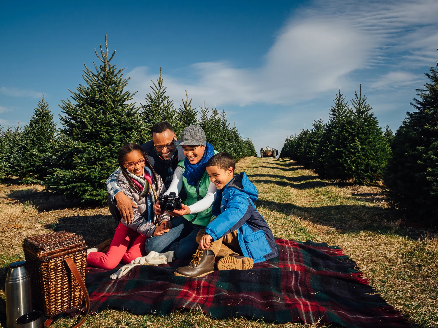 Holiday_TreeFarm-36032.jpg