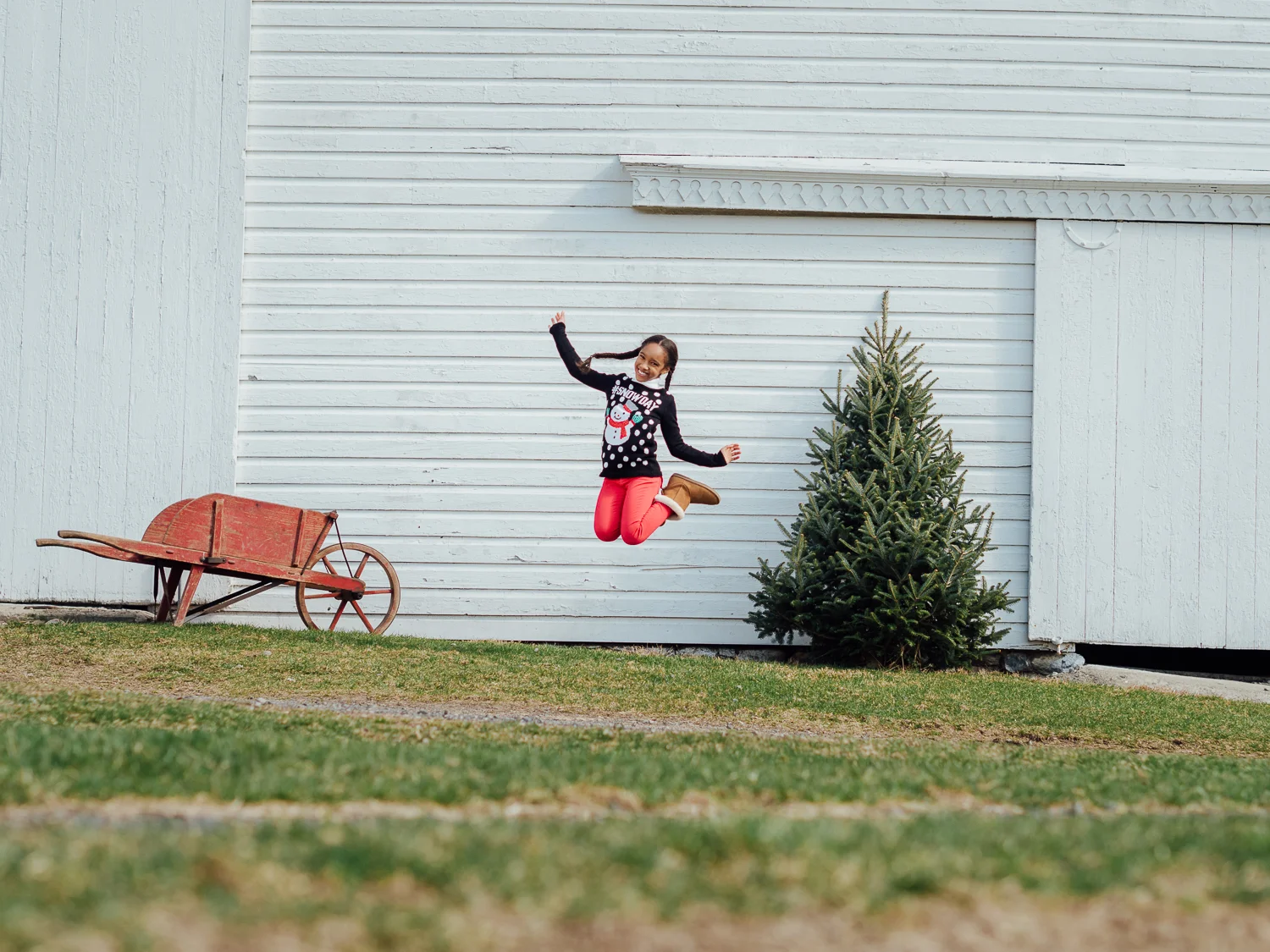 Holiday_TreeFarm-60599.jpg