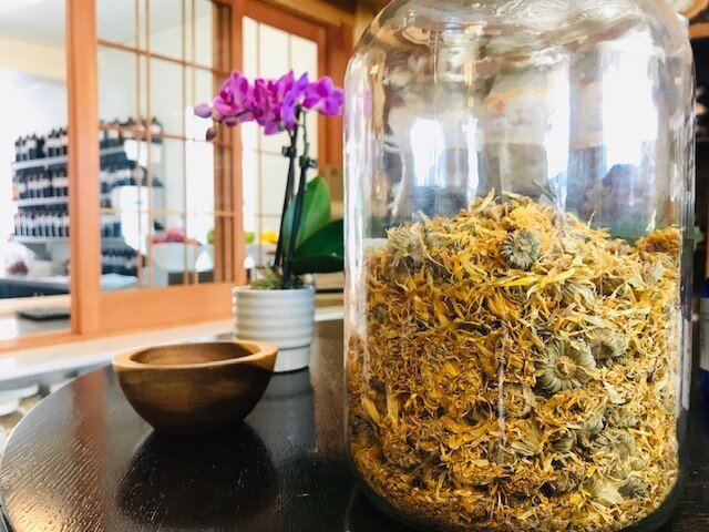 🌿🌼 Meet CALENDULA! 🌼🌿

More than just a pretty flower, the Calendula variety of Marigold has been utilized for thousands of years for its impressive health benefits. It is thought that the Marigold originated in Egypt and was first introduced to 