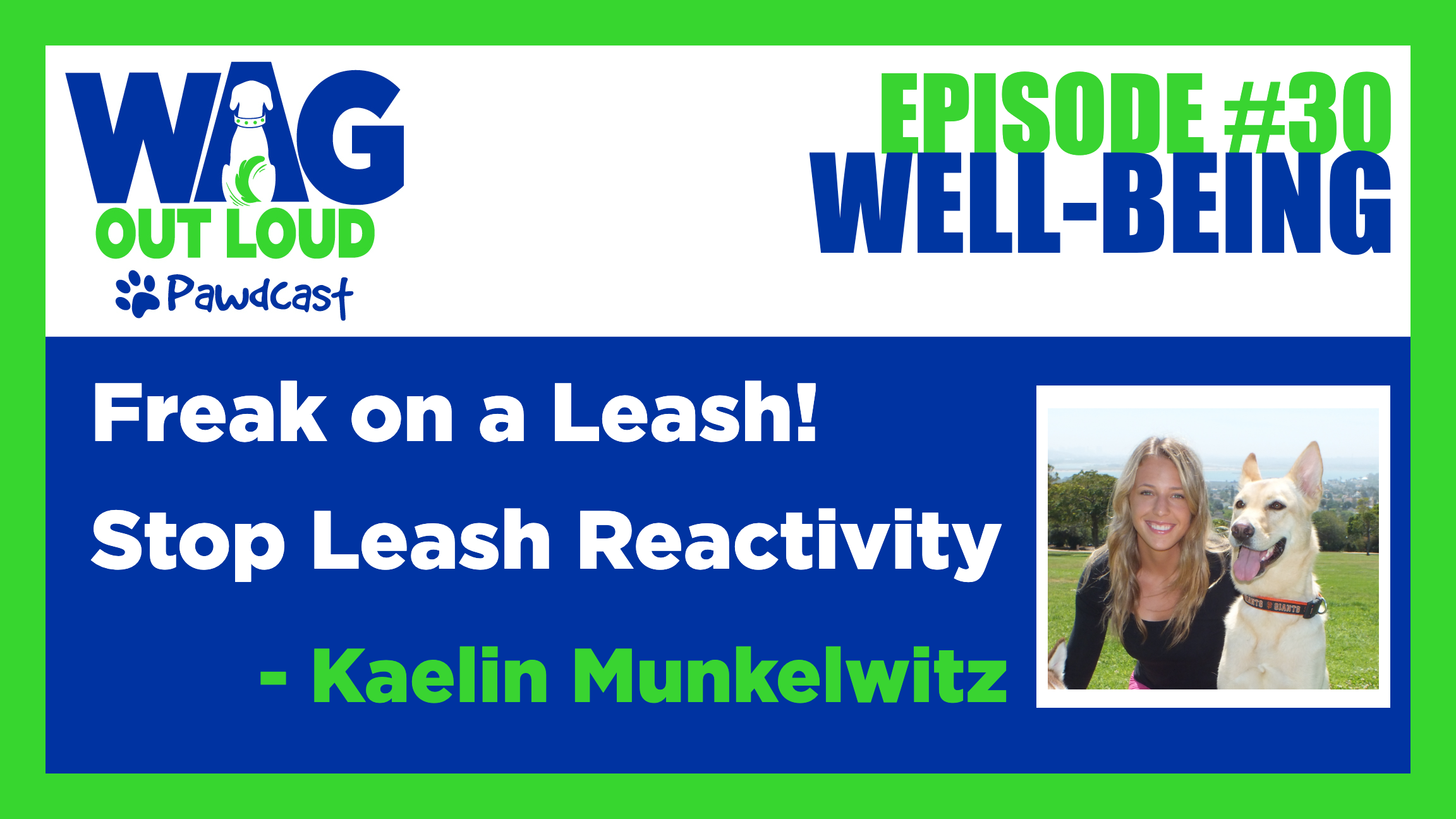 stop leash reactivity
