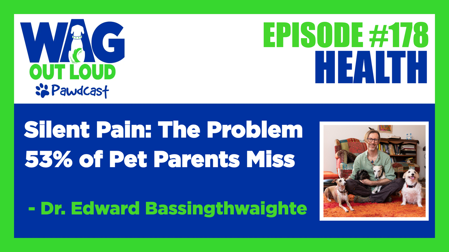 Silent Pain - The Problem 53% of Pet Parents Miss!