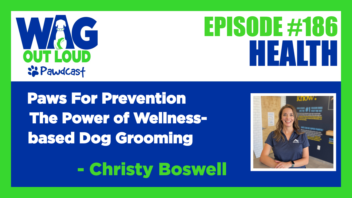 Paws For Prevention: The Power of Wellness-based Dog Grooming