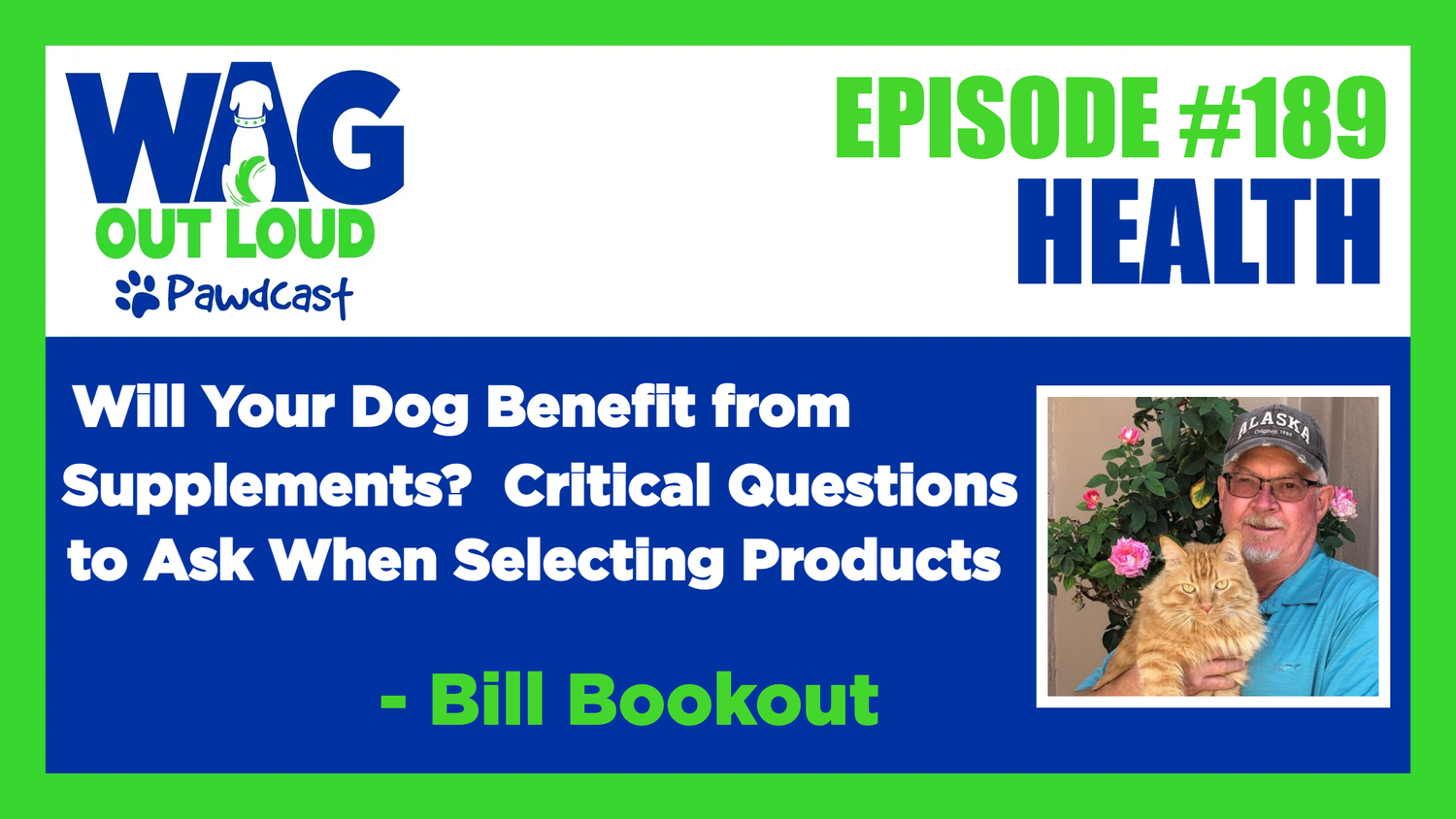 Will Your Dog Benefit from Supplements? Critical Questions to Ask When Selecting Products