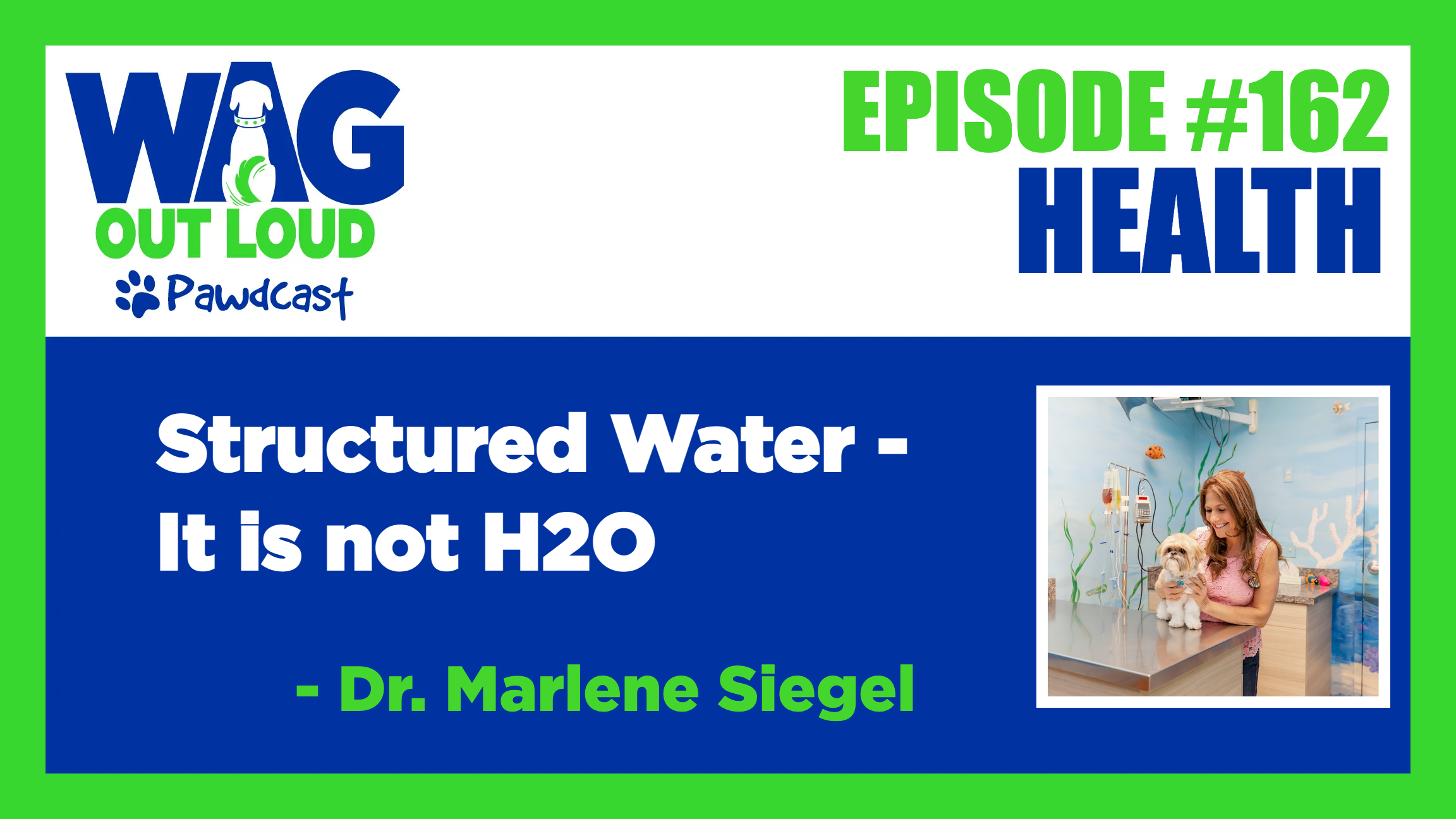 Structured Water It is Not H2O — Wag Out Loud