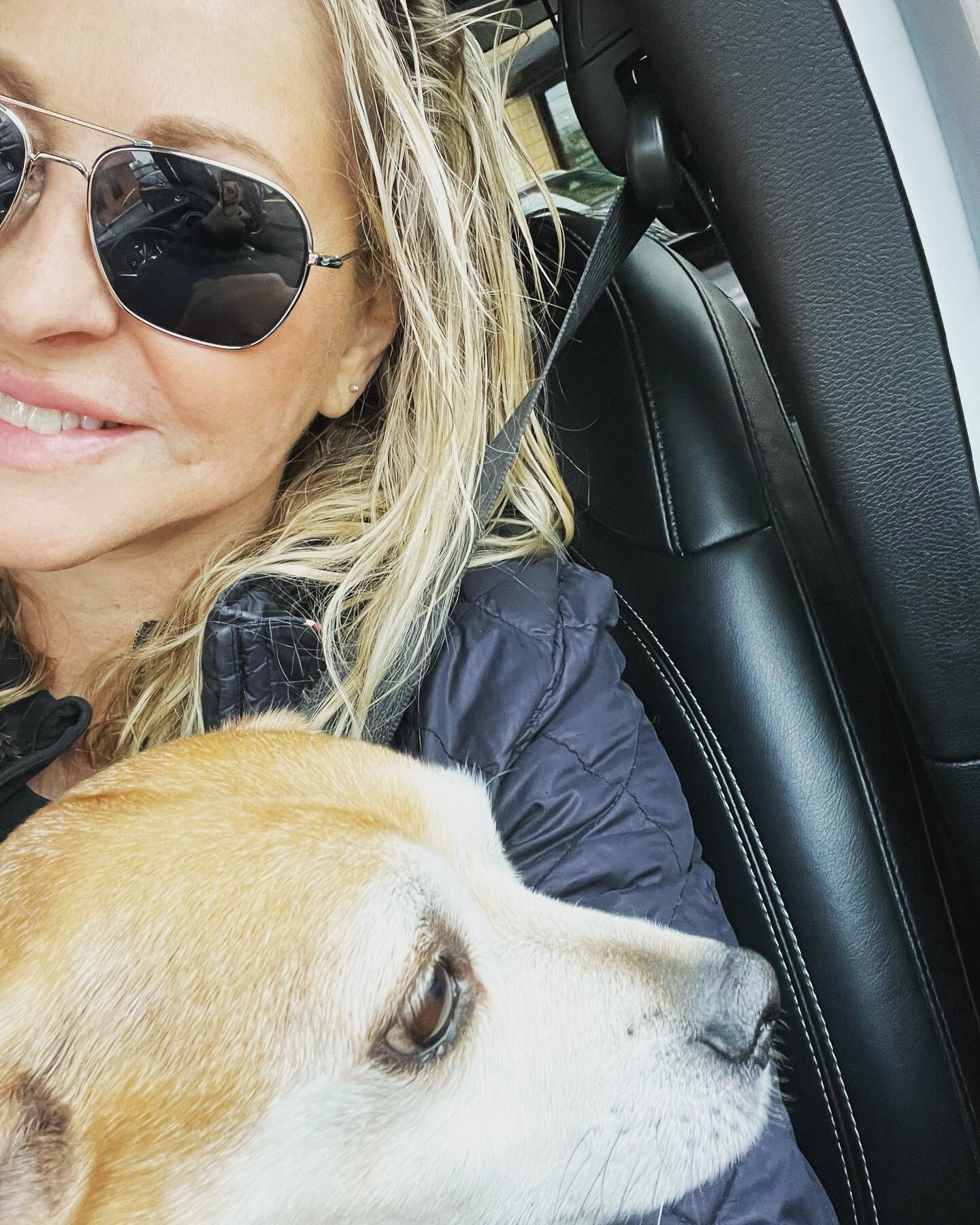 Morning ride with my best bud..the one and only Nashville🦊&hearts;️