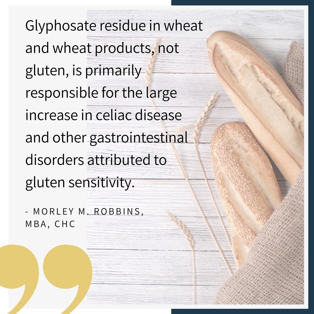 How do you feel after you eat bread, pasta, or whatever other yummy carb is on the menu?

More and more people are experiencing gluten sensitivities, and this quote explains part of that reason.

I've been reading &quot;Cu-RE Your Fatigue: The Root C