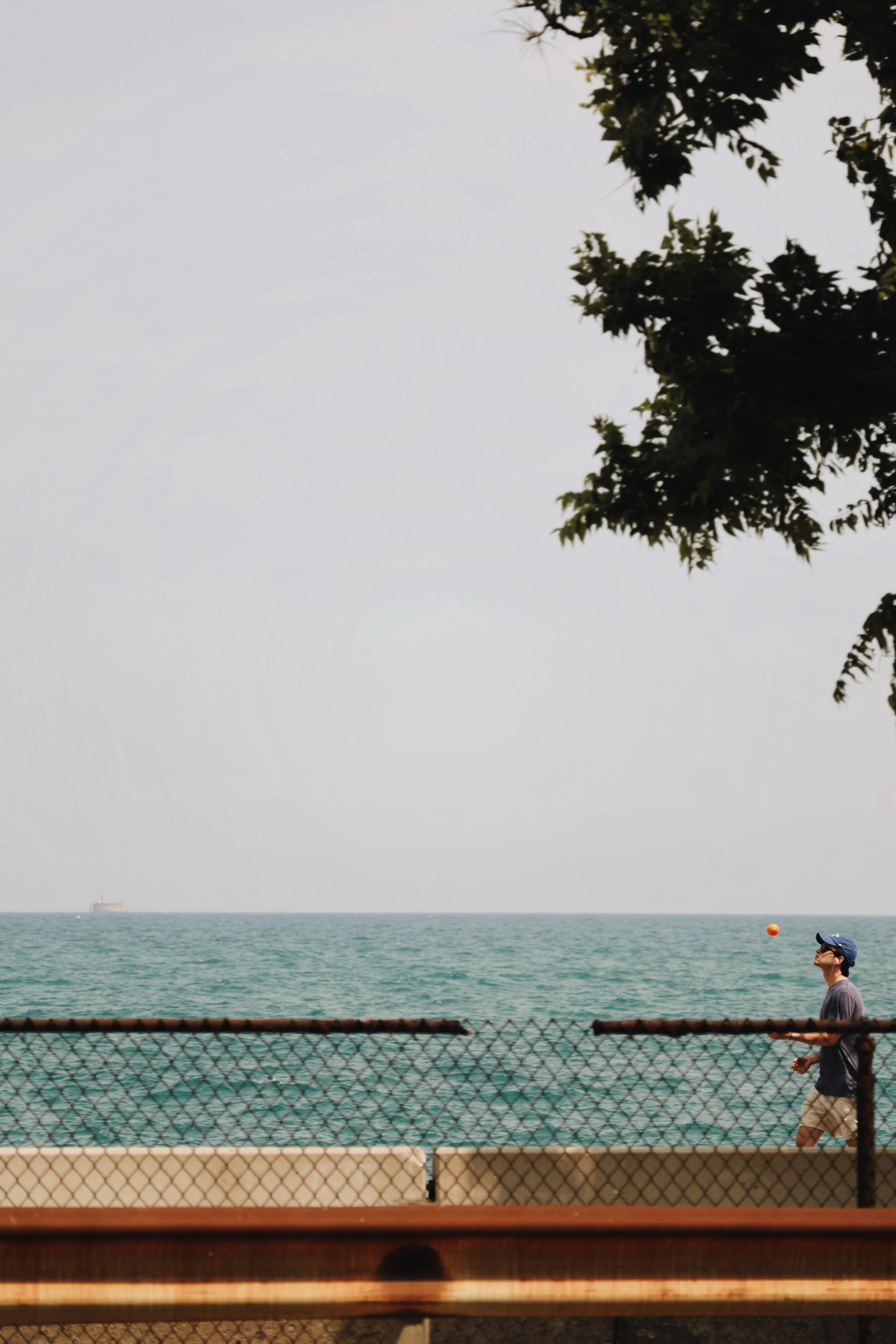 2O5A8361_VSCO3.JPG