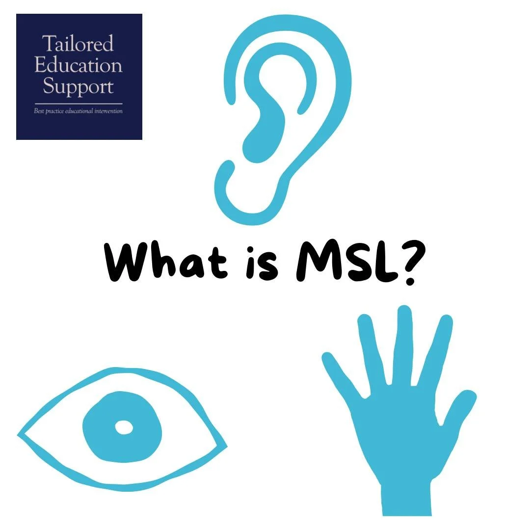 What is MSL?
Multisensory Structured Language (MSL) builds upon scientific reading research and structured literacy by incorporating a multisensory approach. Unlike rigid programs, MSL is evidence-based and adaptable, offering direct and explicit ins
