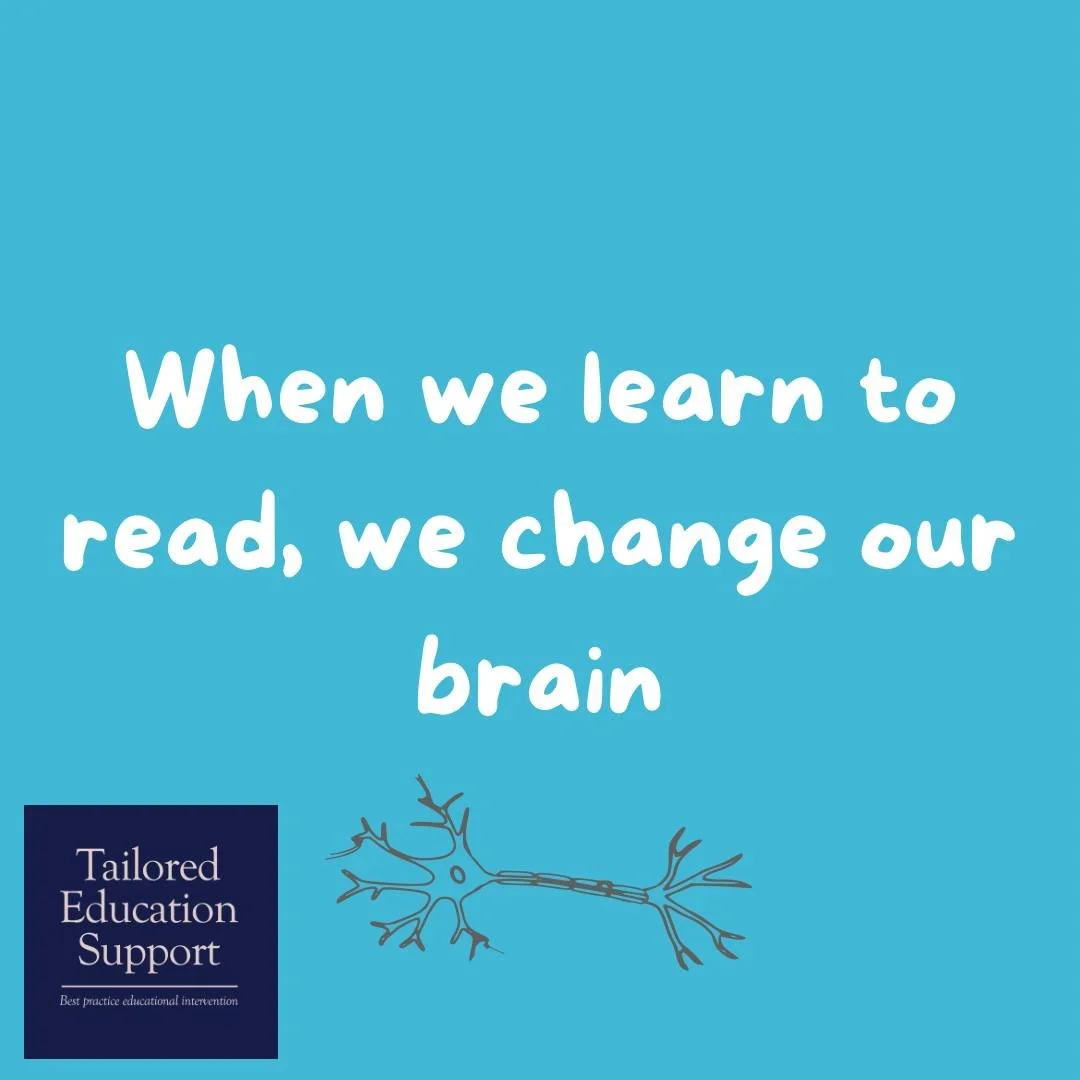 Neuroplasticity is a new discovery that proves we can change our brain. The brain is able to rewire, alter and strengthen connections and pathways when something is practiced and used often. Billions of neurons carry messages from brain, spinal cord 