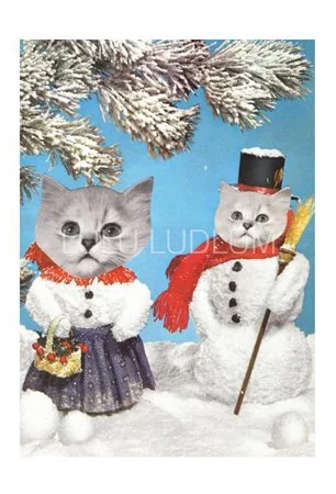USE ForPostcards7.jpg