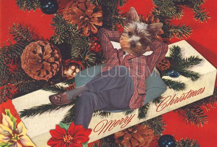 MerryChristmas1.jpg