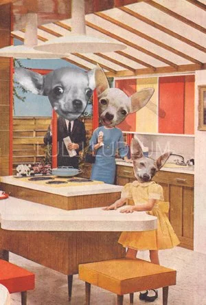 MidCenturyDoggyOs-Final.jpg