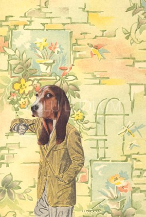 PipePup-Final.jpg