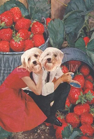 Pupple-Final.jpg