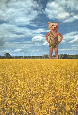 TarzanTerrier1-Final.jpg