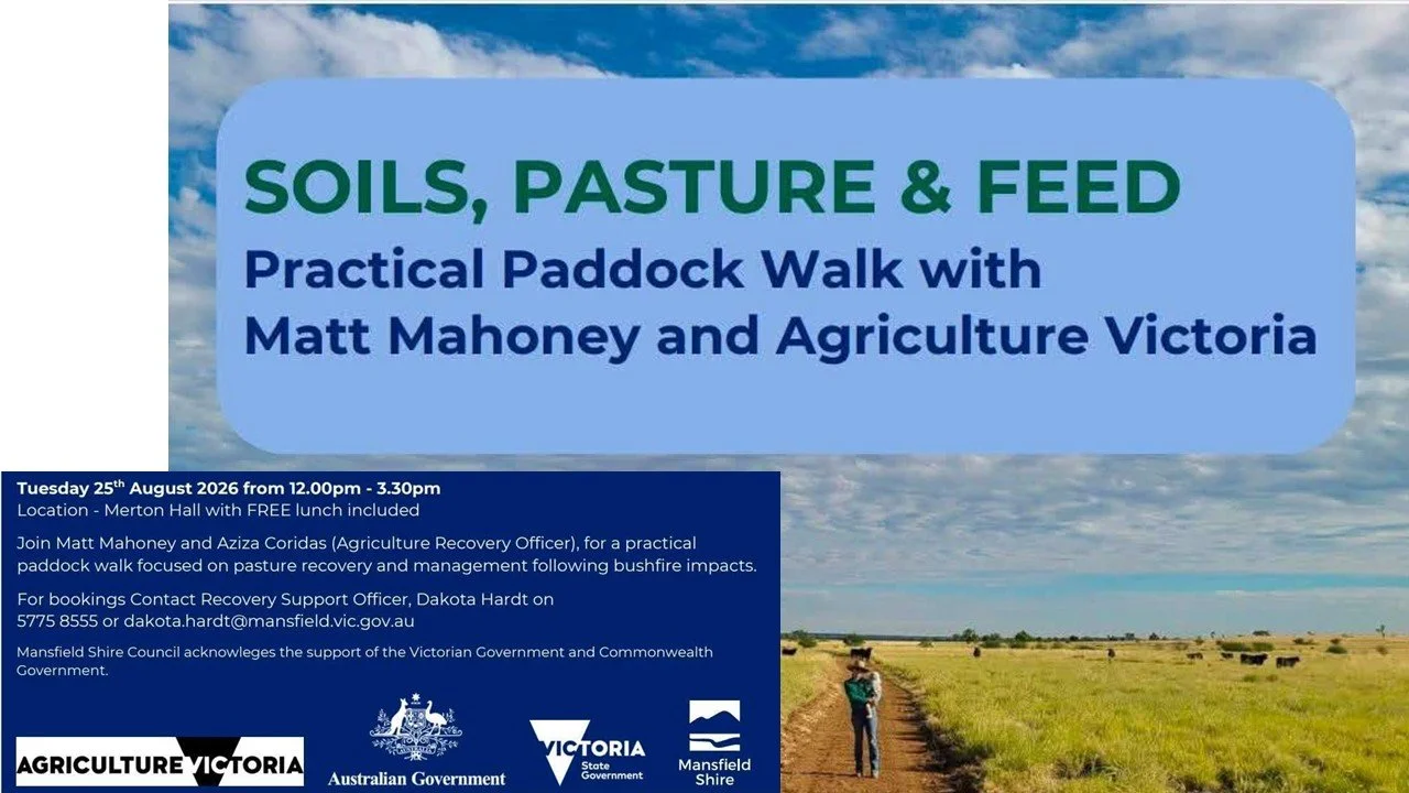 Merton - Paddock Walk.jpg
