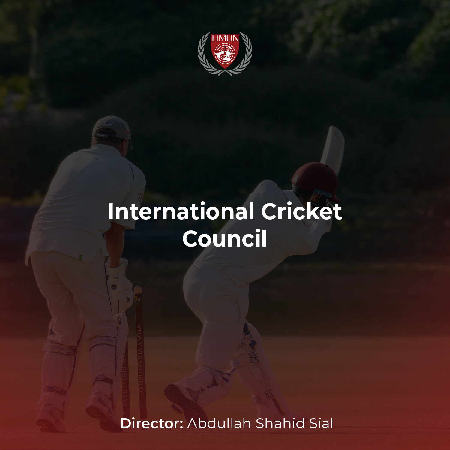 cricket final.png