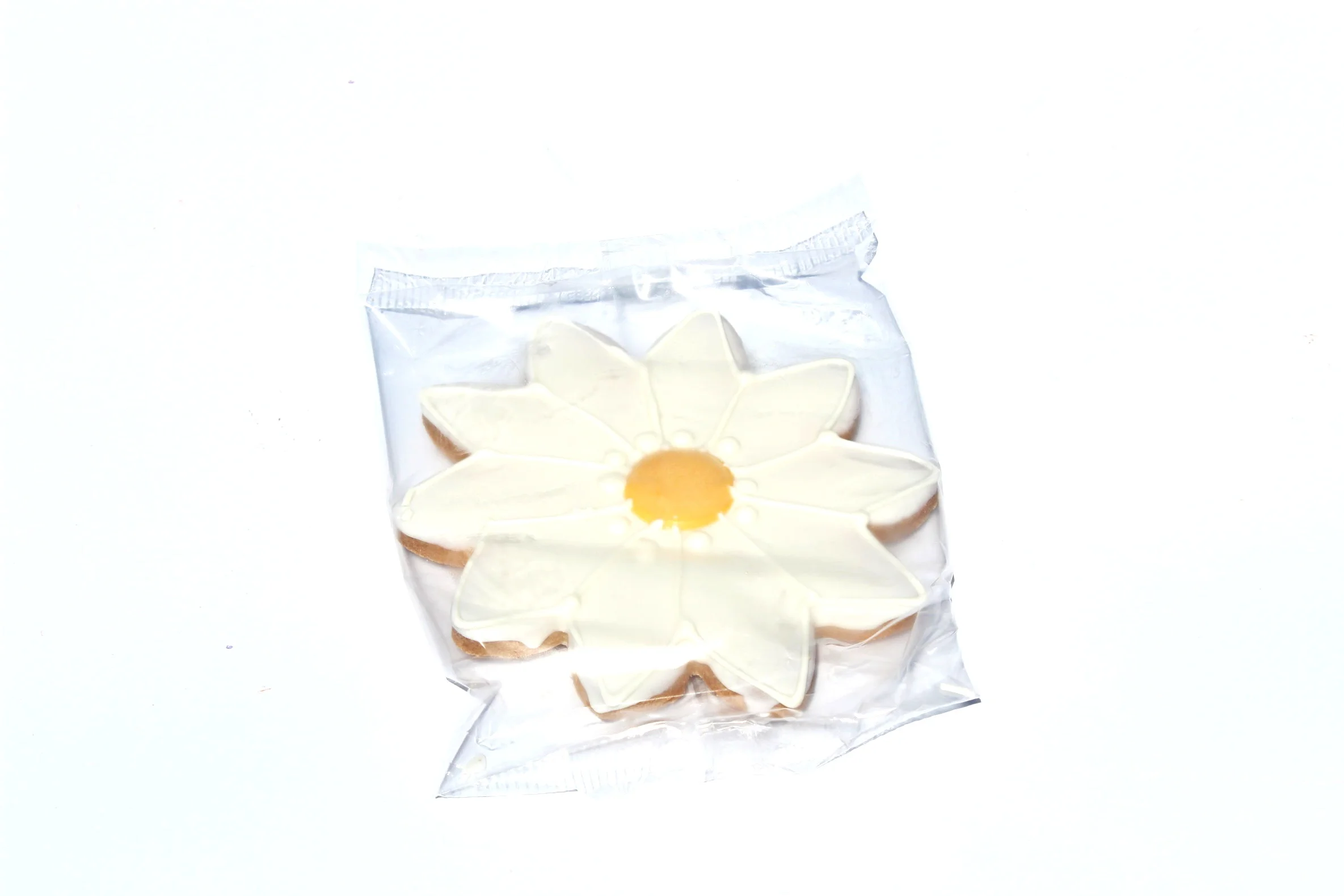Wrapped White Flowers