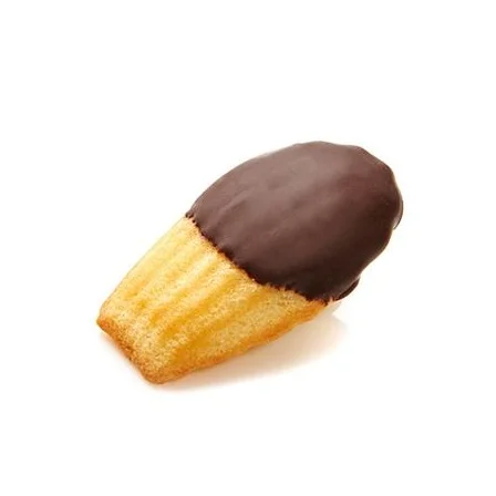 Chocolate Dipped Madeleine
