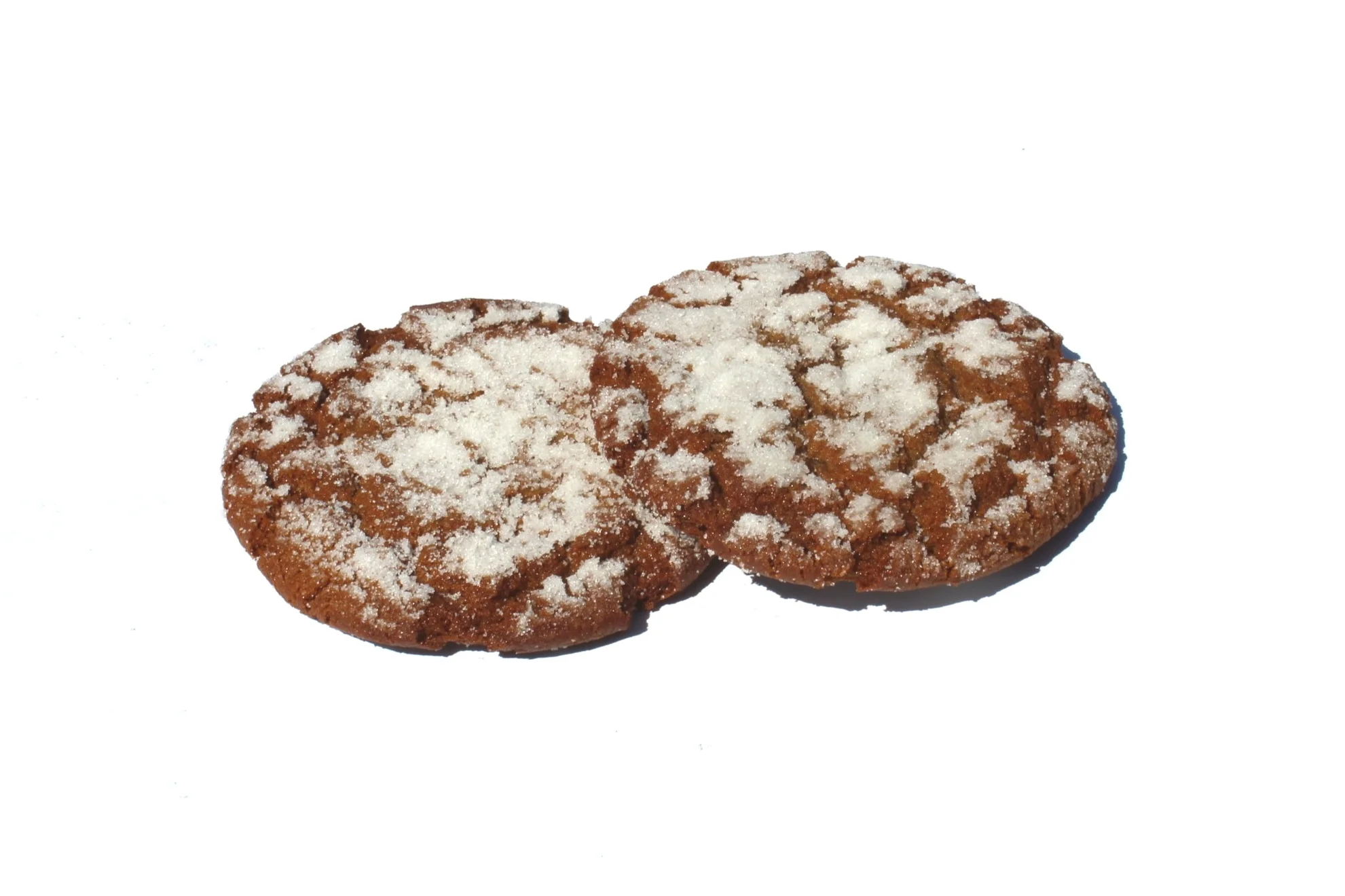 Molasses Cookie
