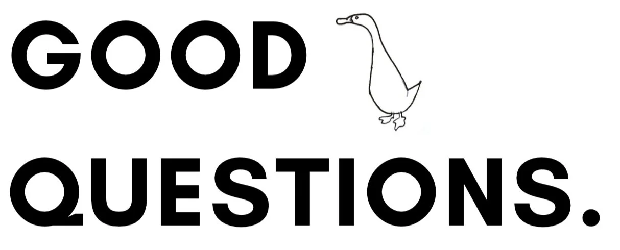 Good Questions