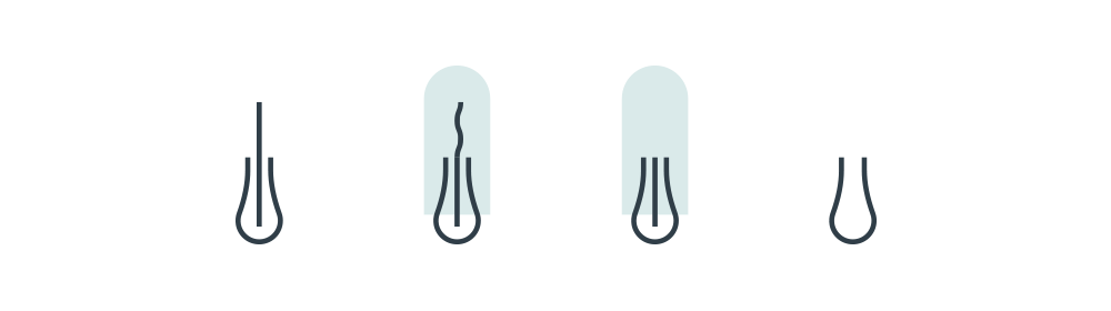 SEMPER_PROCESS_ICONS_2.png