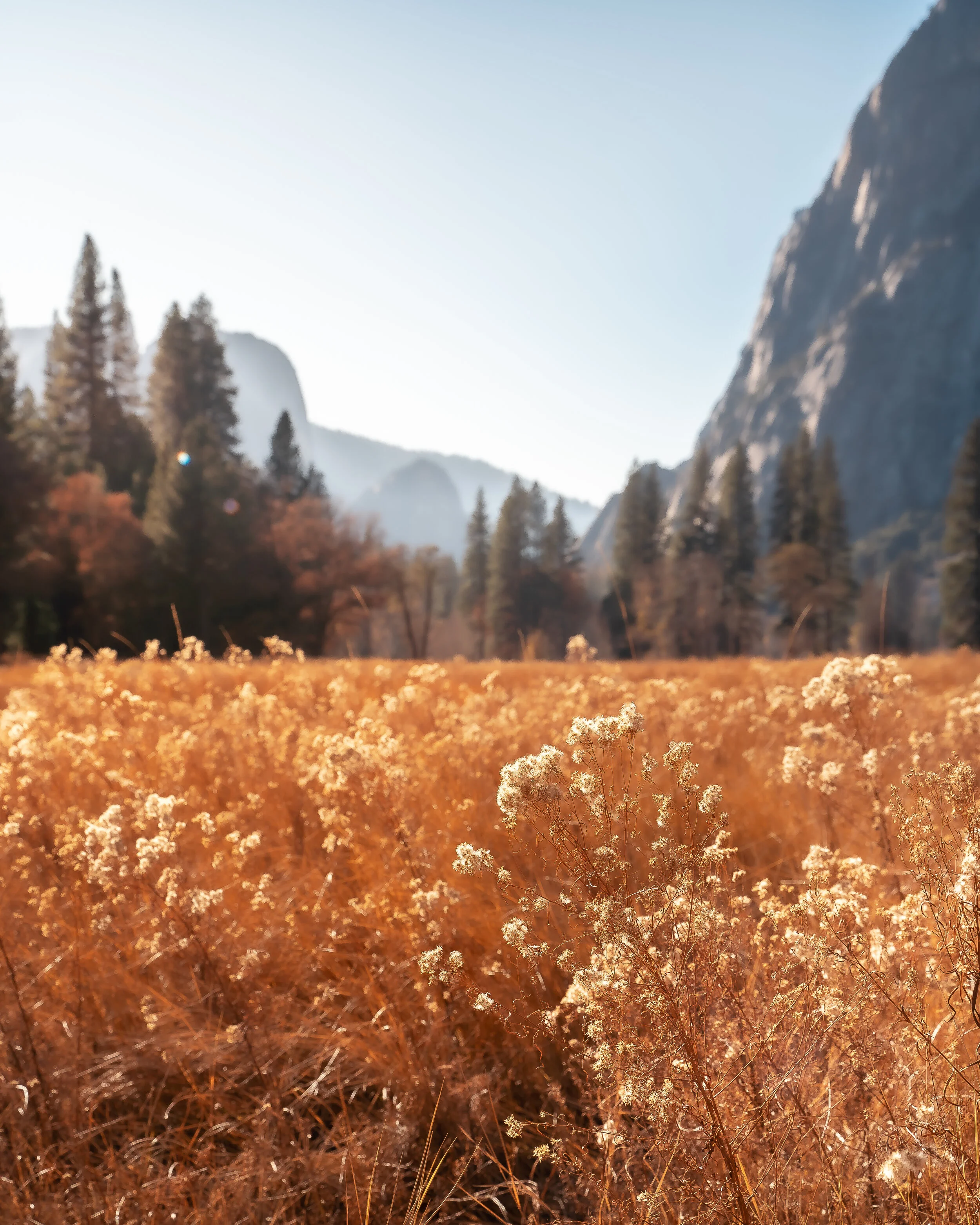 pathway-1.jpg