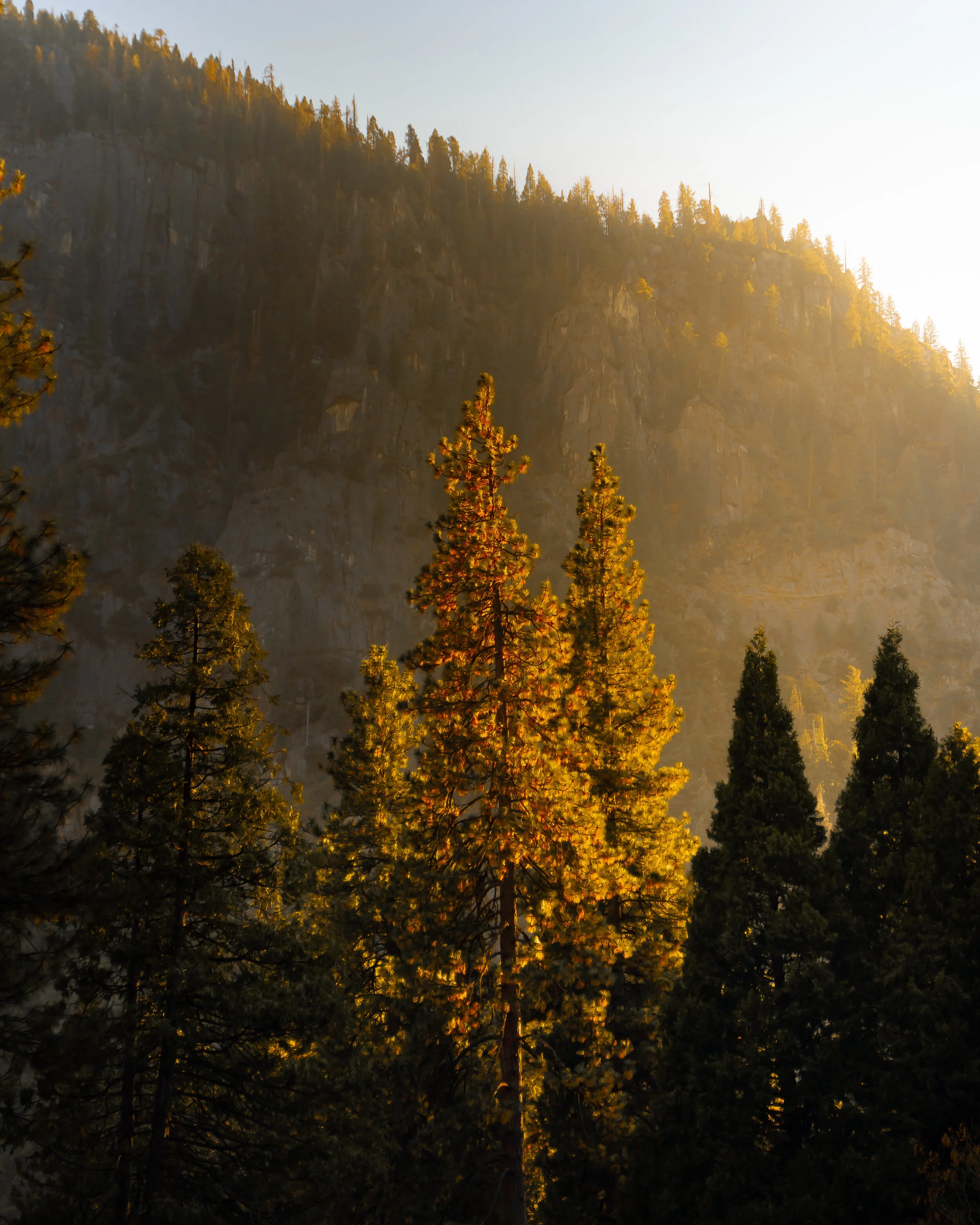 just the tip haze-1.jpg