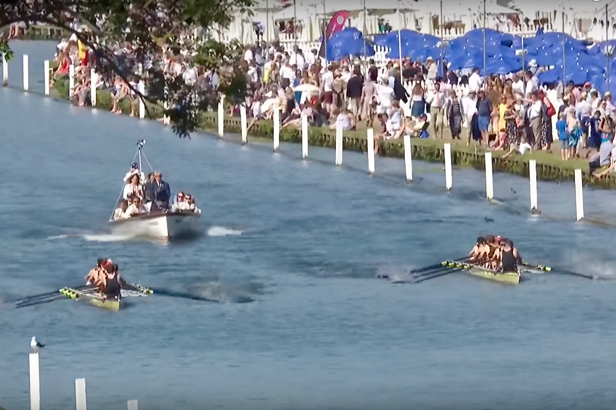 Thames v Thames in the Thames Challenge Cup 2017