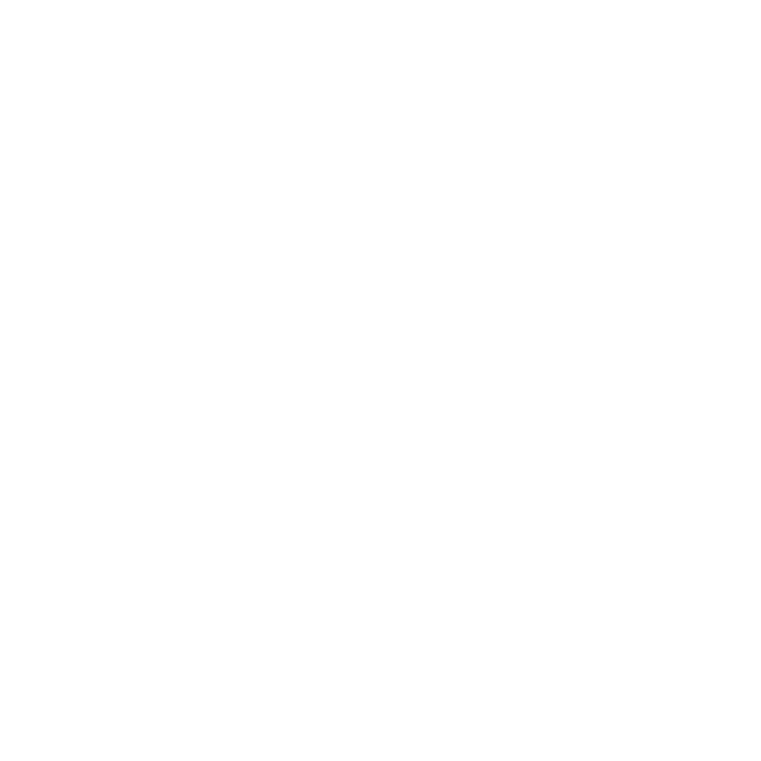 Blunt_Logo_Website_white.png