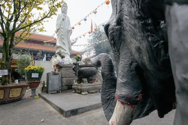 KhongTaoThongKho_5.webp